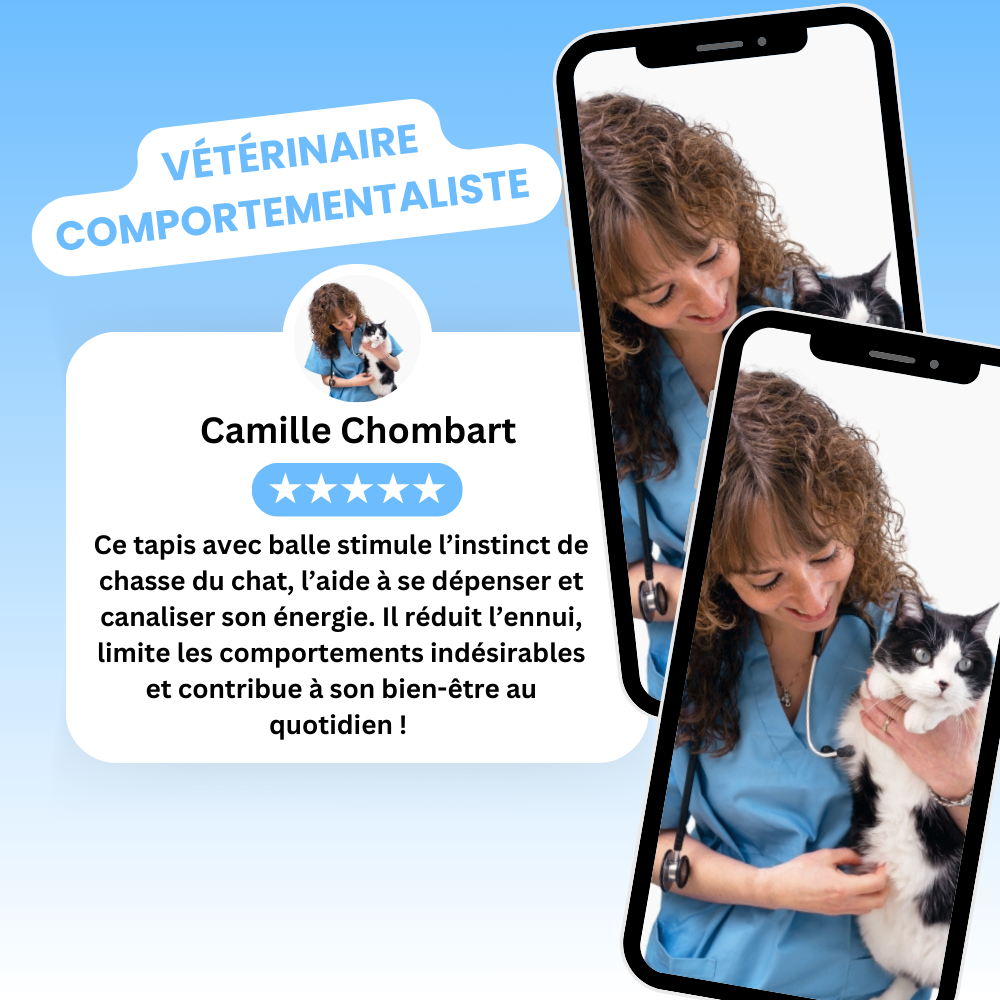 Cœur Félin - Préviens l'ennui & l'anxiété