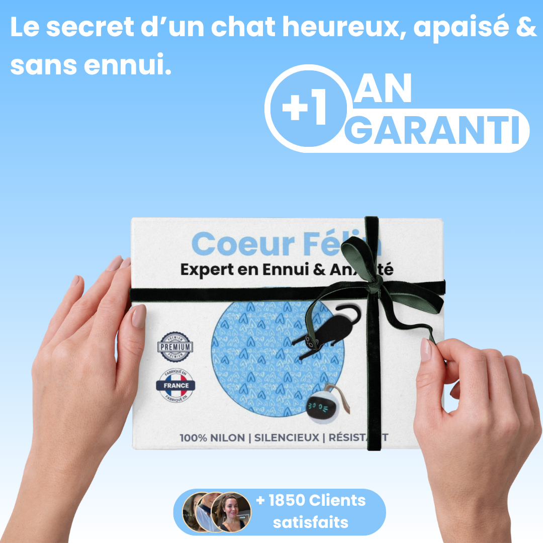 Cœur Félin  - Préviens l'ennui & l'anxiété