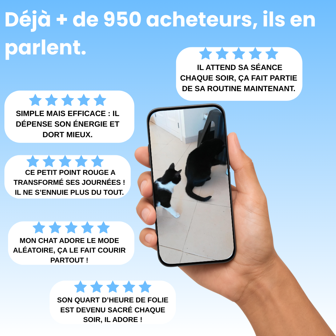 Laser Interactif Anti-ennui