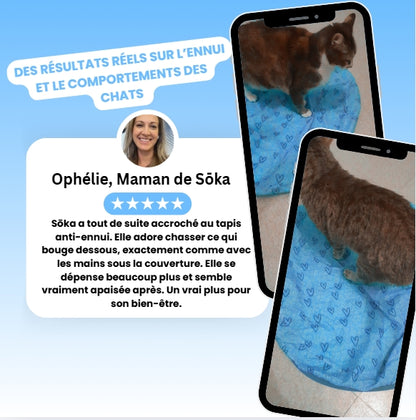 Cœur Félin  - Préviens l'ennui & l'anxiété