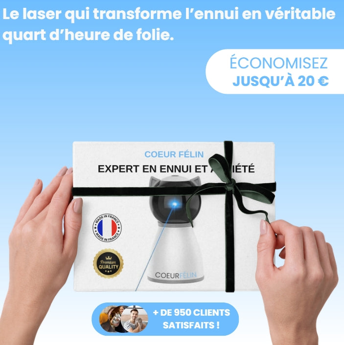 Laser Interactif Anti-ennui