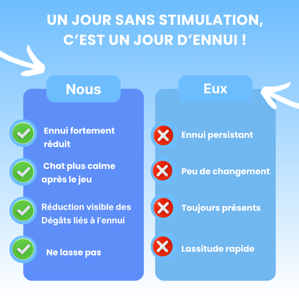 Cœur Félin  - Préviens l'ennui & l'anxiété