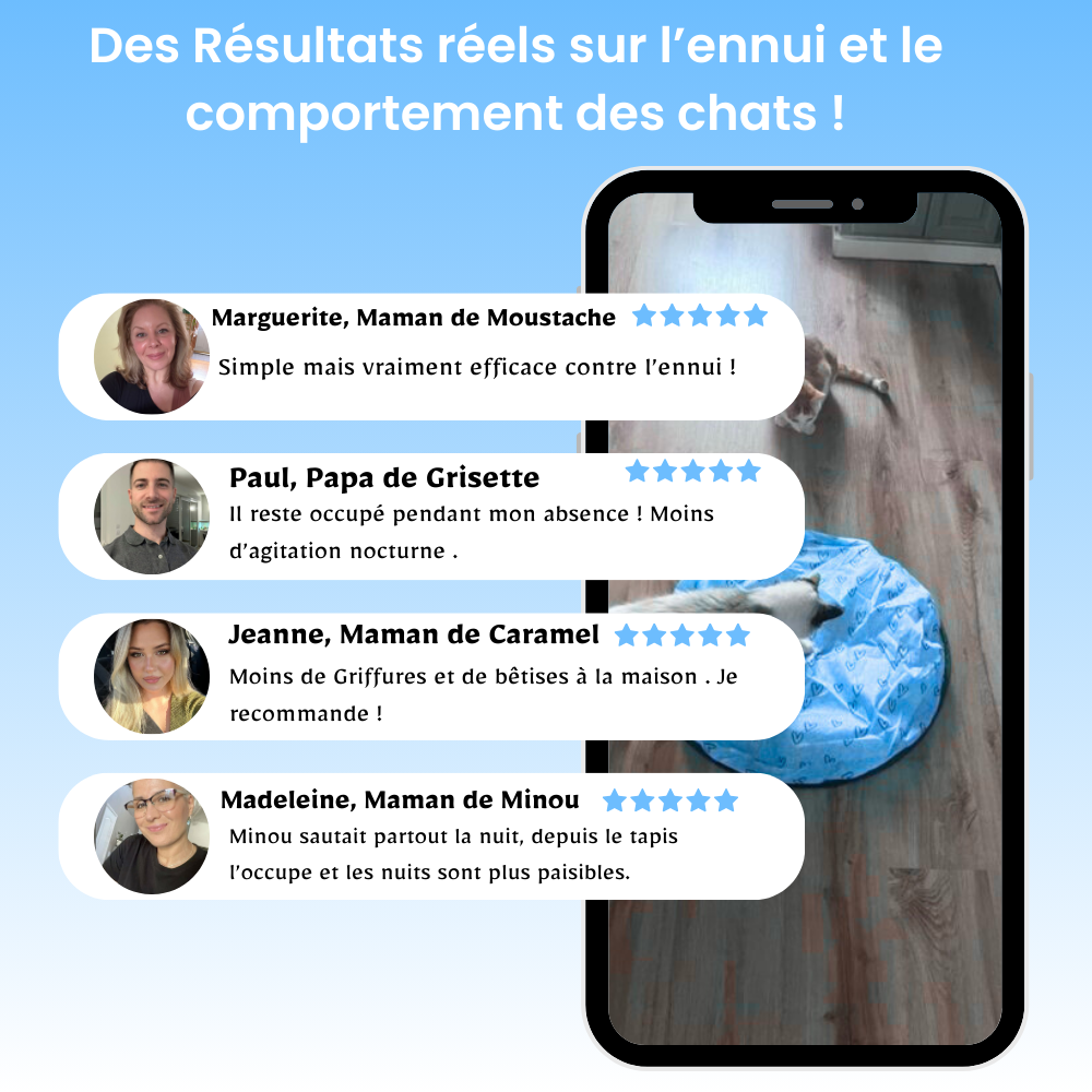Cœur Félin  - Préviens l'ennui & l'anxiété