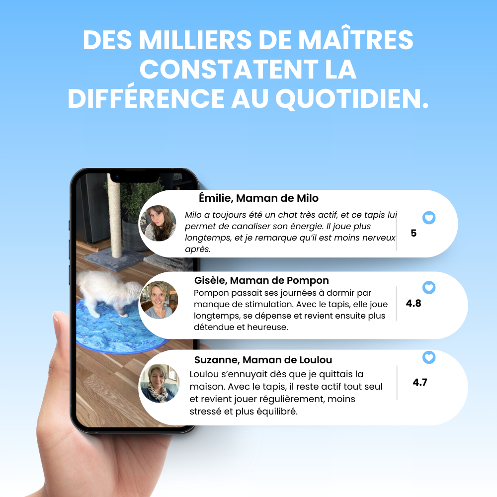 Cœur Félin  - Préviens l'ennui & l'anxiété