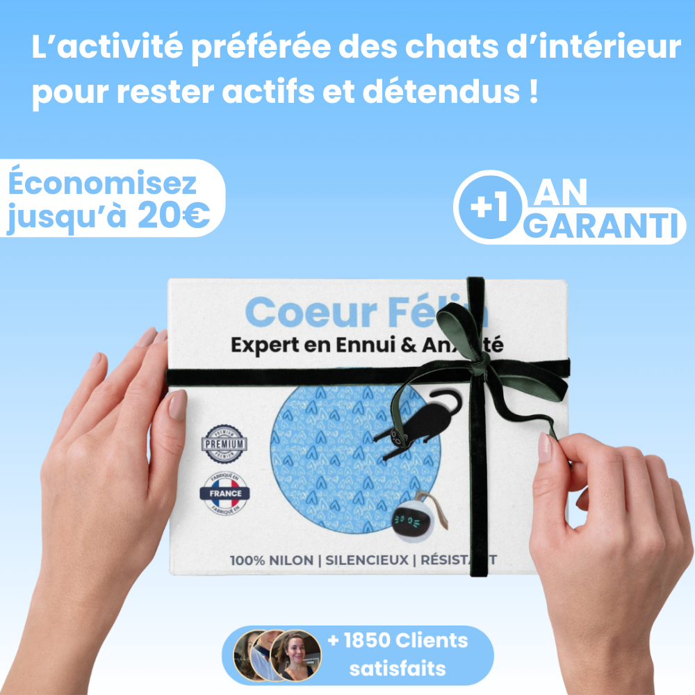 Cœur Félin  - Préviens l'ennui & l'anxiété