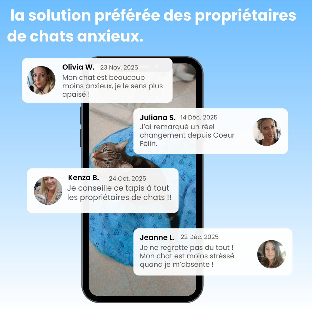 Cœur Félin  - Préviens l'ennui & l'anxiété