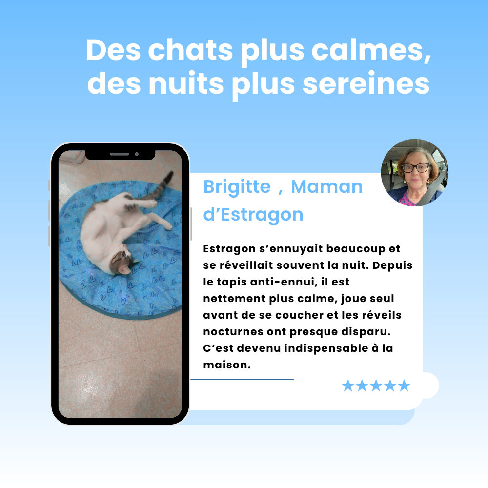 Cœur Félin  - Préviens l'ennui & l'anxiété