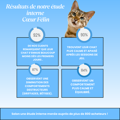 Circuit Anti-ennui 3 en 1