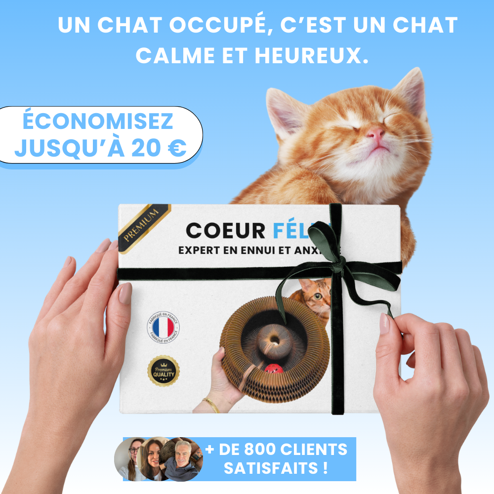 Circuit Anti-ennui 3 en 1