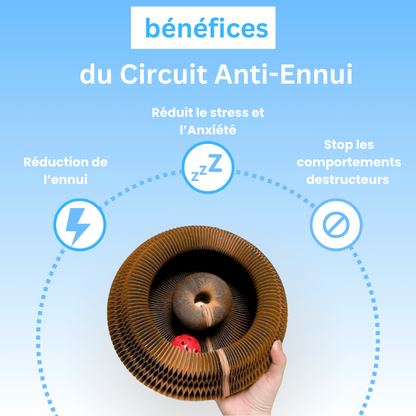 Circuit Anti-ennui 3 en 1