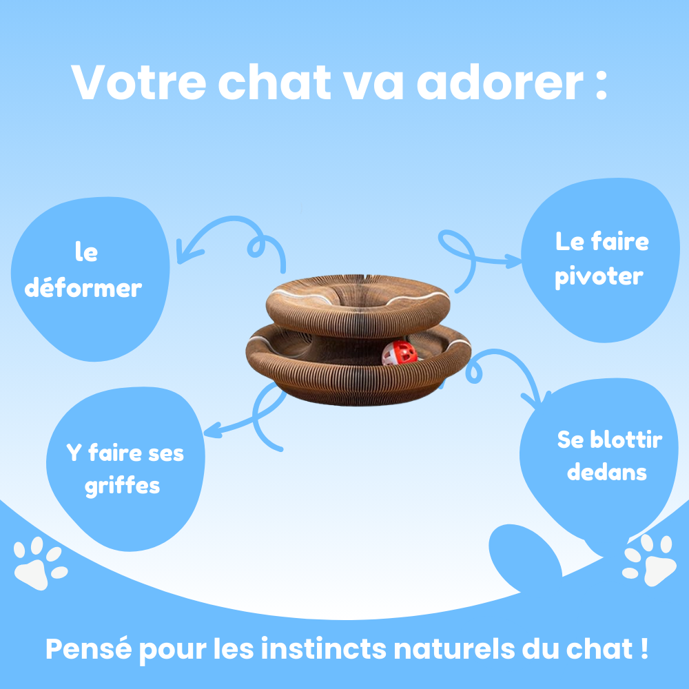 Circuit Anti-ennui 3 en 1