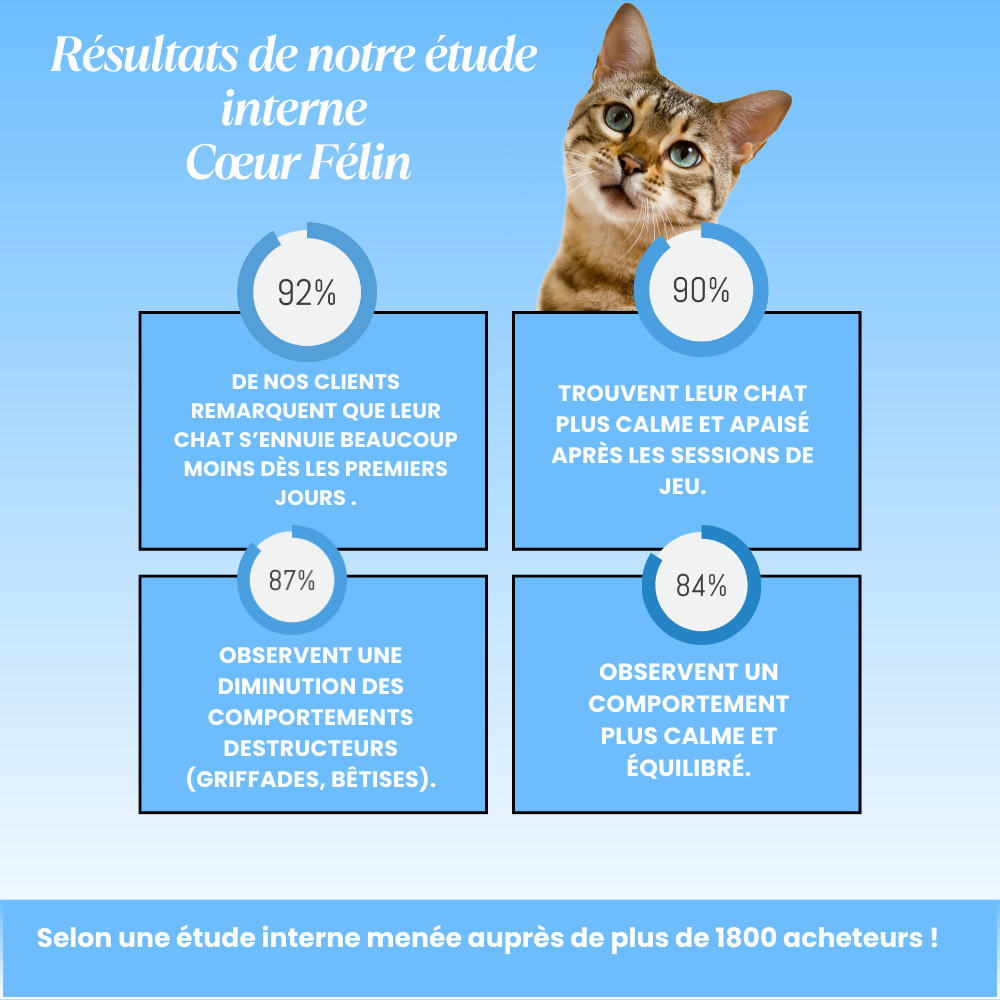 Cœur Félin  - Préviens l'ennui & l'anxiété