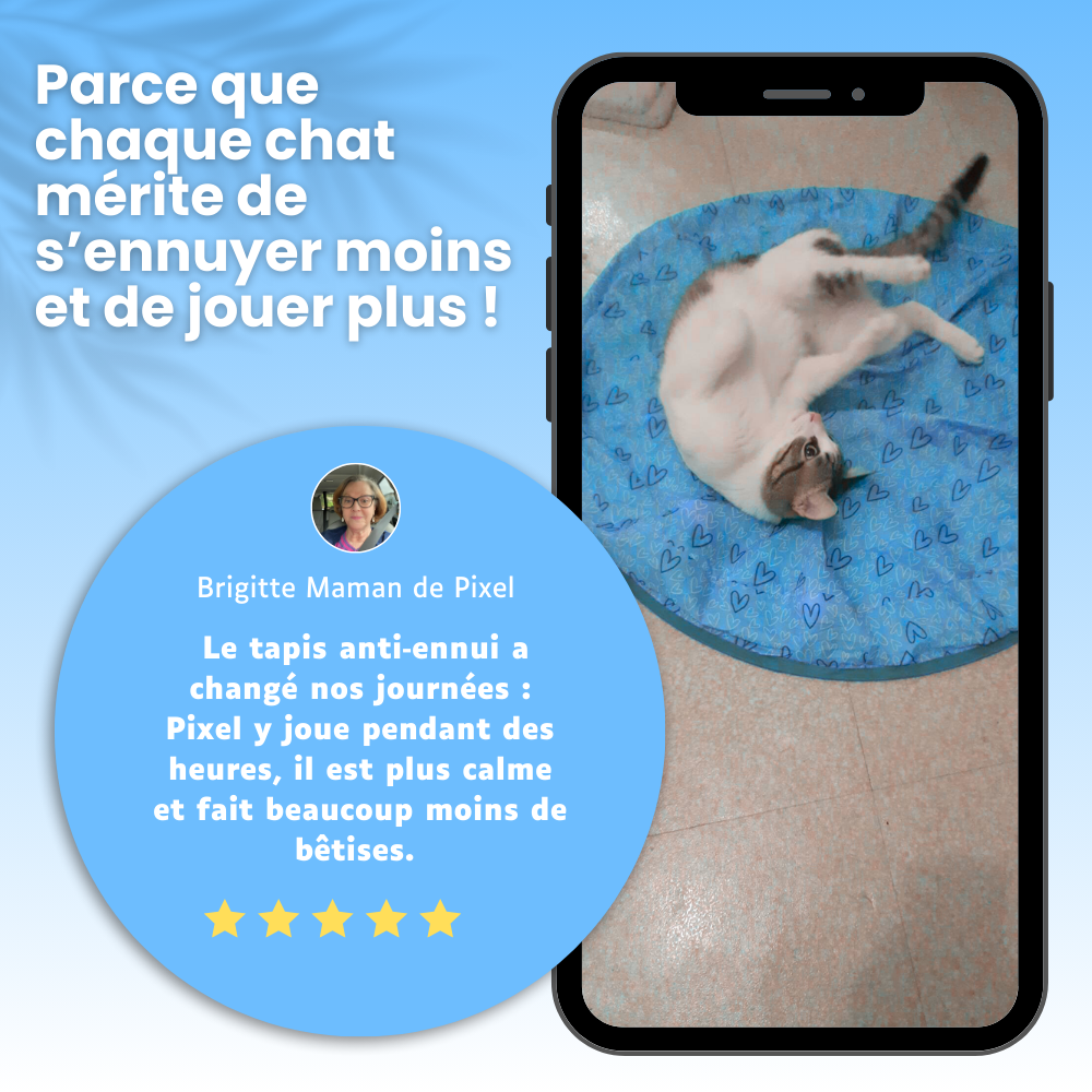 Cœur Félin  - Préviens l'ennui & l'anxiété