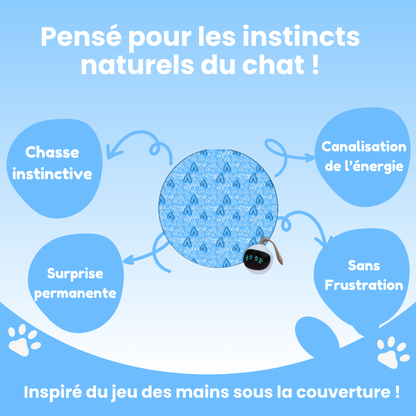 Cœur Félin  - Préviens l'ennui & l'anxiété