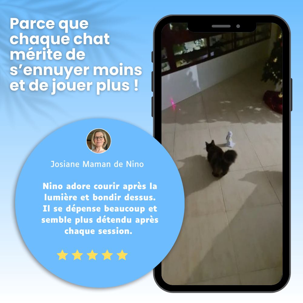 Laser Interactif Anti-ennui