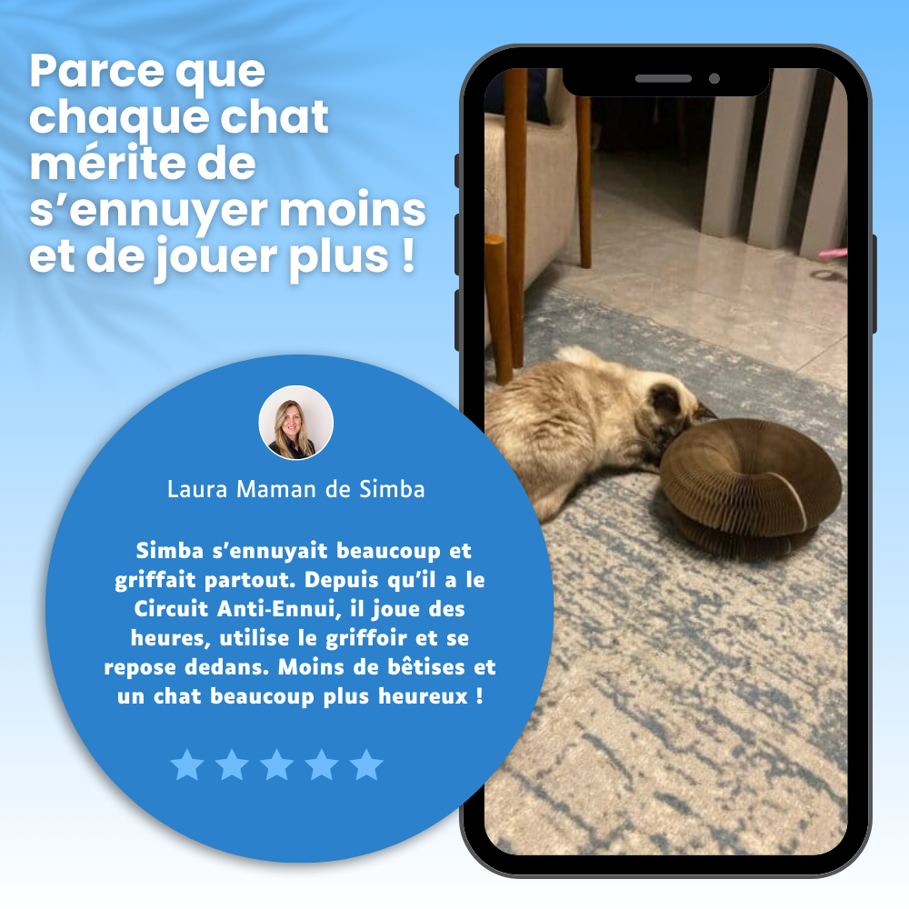 Circuit Anti-ennui 3 en 1