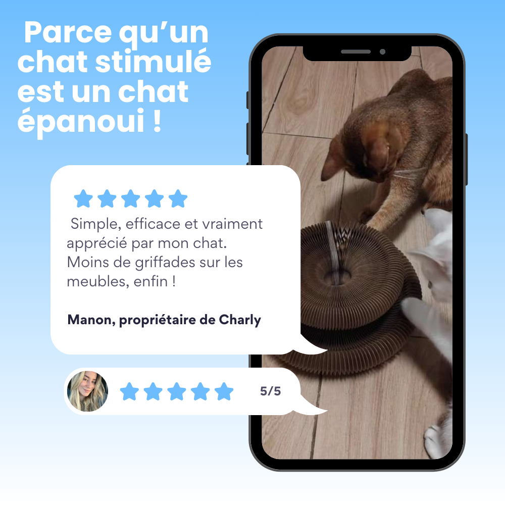 Circuit Anti-ennui 3 en 1