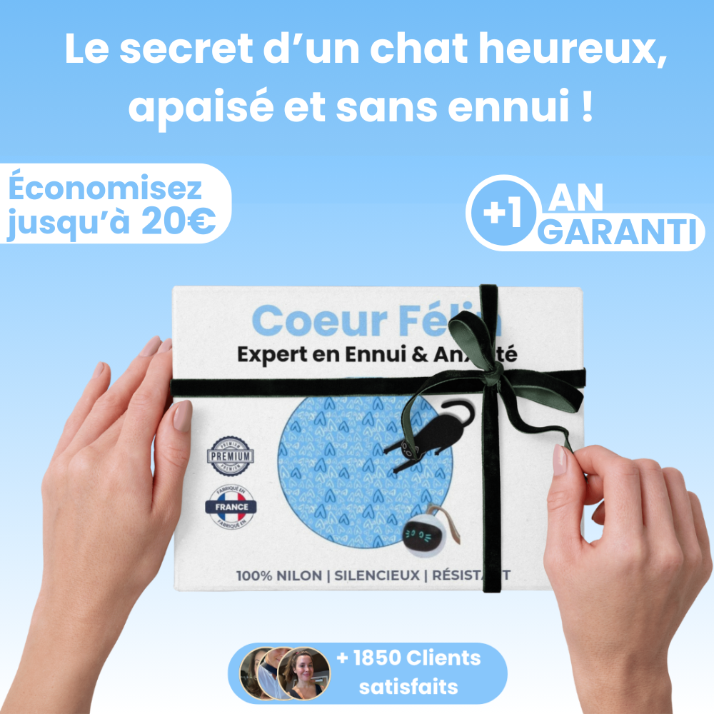 Cœur Félin  - Préviens l'ennui & l'anxiété