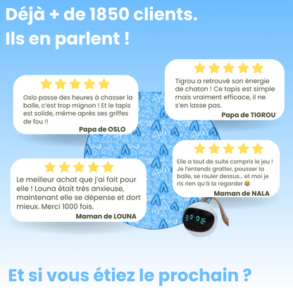 Cœur Félin  - Préviens l'ennui & l'anxiété