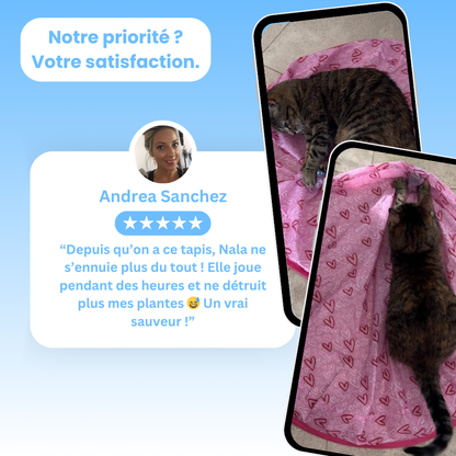 Cœur Félin  - Préviens l'ennui & l'anxiété