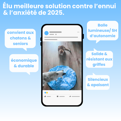 Cœur Félin  - Préviens l'ennui & l'anxiété
