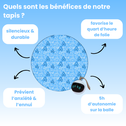 Cœur Félin  - Préviens l'ennui & l'anxiété