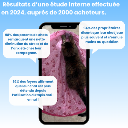 Cœur Félin  - Préviens l'ennui & l'anxiété