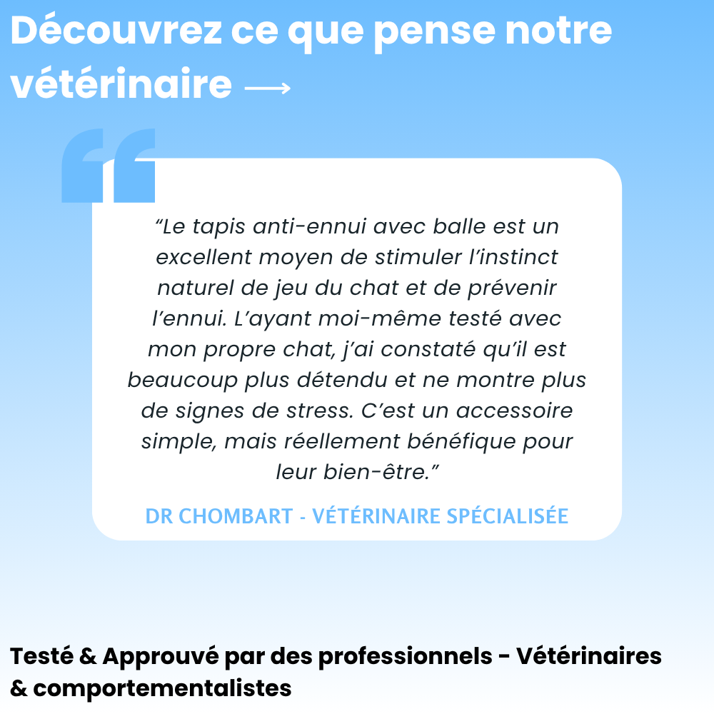 Cœur Félin  - Préviens l'ennui & l'anxiété