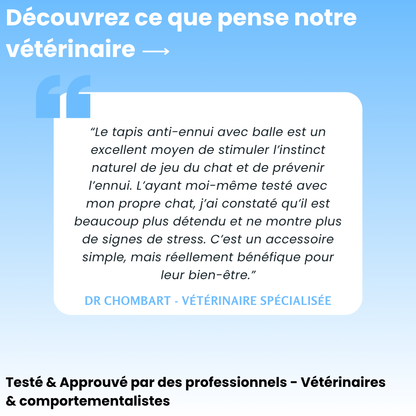 Cœur Félin  - Préviens l'ennui & l'anxiété